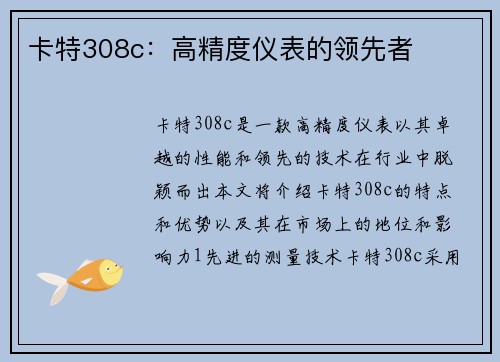 卡特308c：高精度仪表的领先者